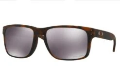 Oakley Holbrook OO 9102 F4